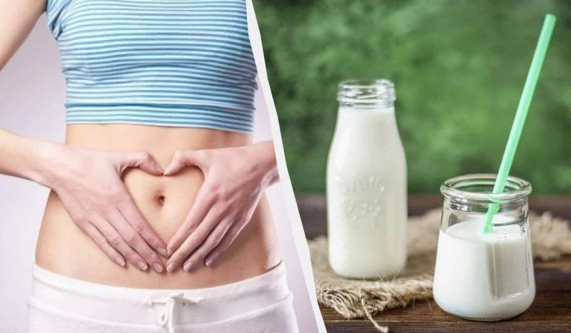 장내 미생물 균형과 전반적인 건강