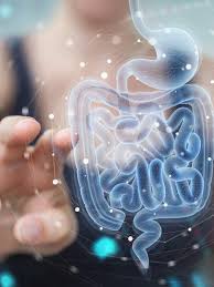 마이크로바이옴을 위한 생활 습관과 식습관